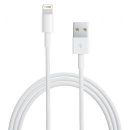 Apple Original Lightning auf USB Kabel 1m MD818ZM/A